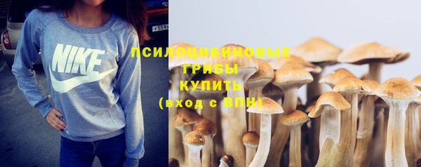 меф Медвежьегорск