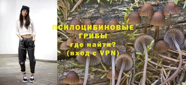 молекула духа Медногорск