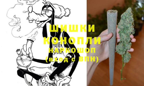 молекула духа Медногорск
