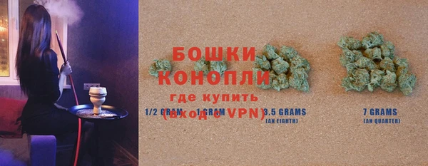 молекула духа Медногорск