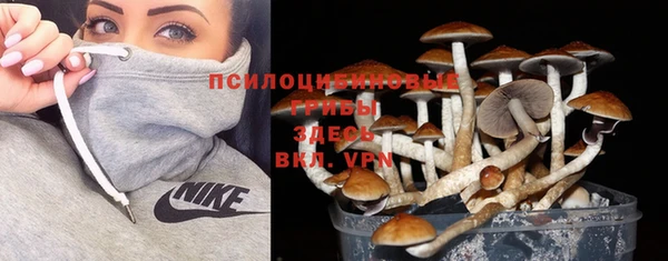 молекула духа Медногорск