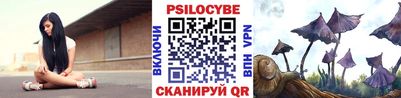 Псилоцибиновые грибы Cubensis  Мыски 