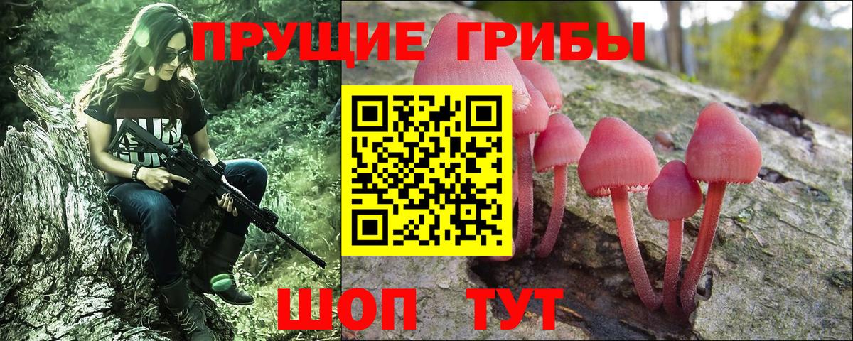 Псилоцибиновые грибы GOLDEN TEACHER  Вход с VPN  Галлюциногенные грибы мицелий  Мыски 